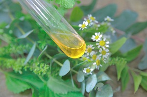 オーガニックスパイメージ