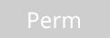 perm
